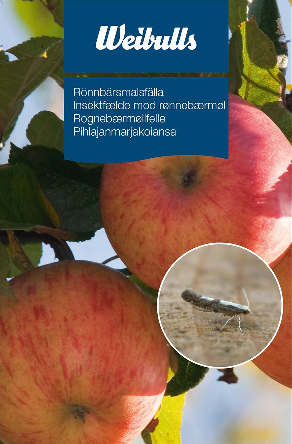 Weibulls Feromonfälla - Rönnbärsmal