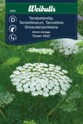 Weibulls Tandpetarsilja 'Green Mist'
