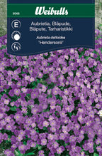 Weibulls Aubrietia 'Hendersonii'