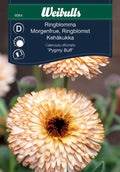 Weibulls Ringblomma 'Pygmy Buff'