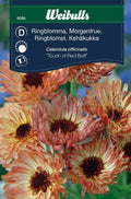 Weibulls Ringblomma 'Touch of red buff'