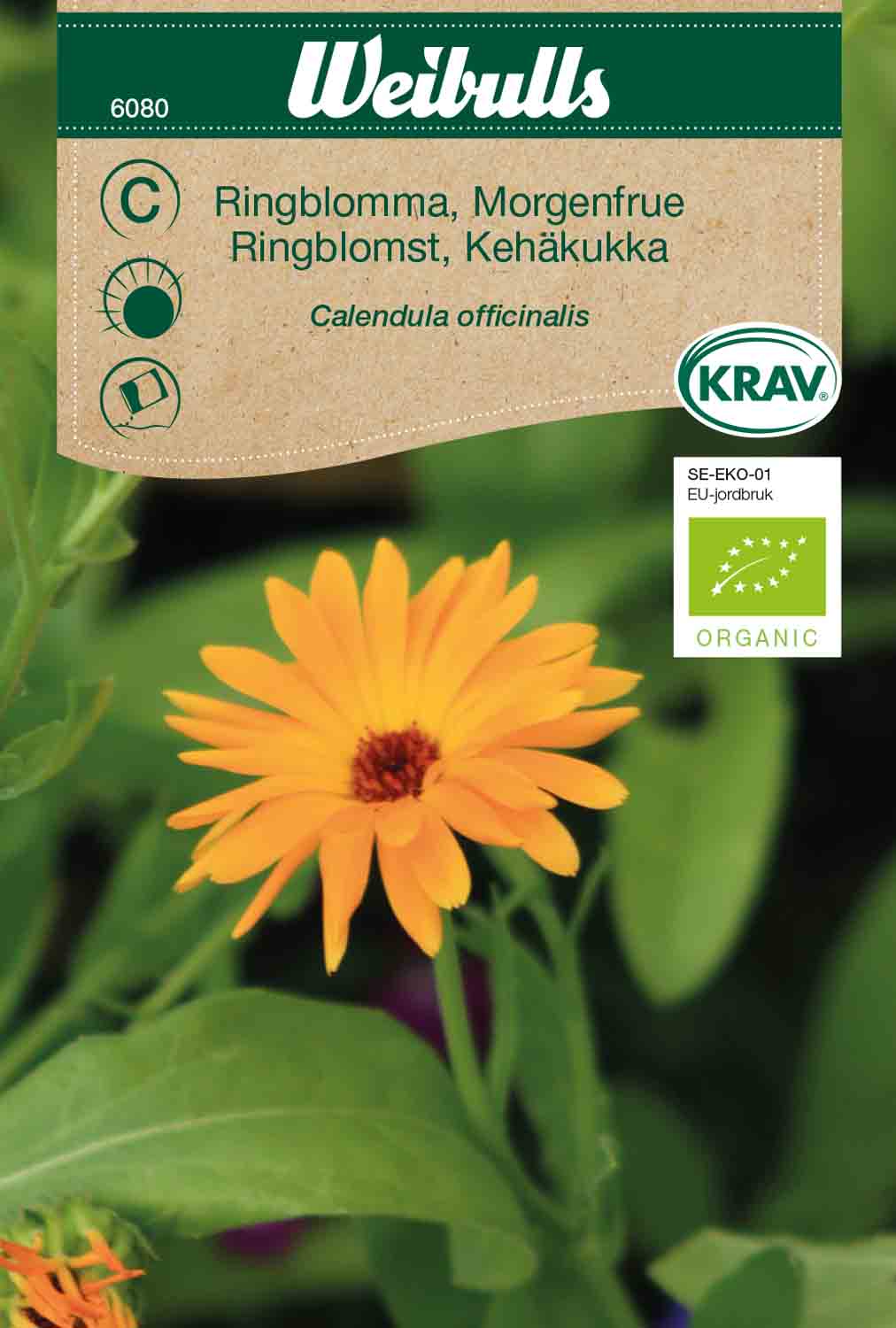 Weibulls Ringblomma KRAV