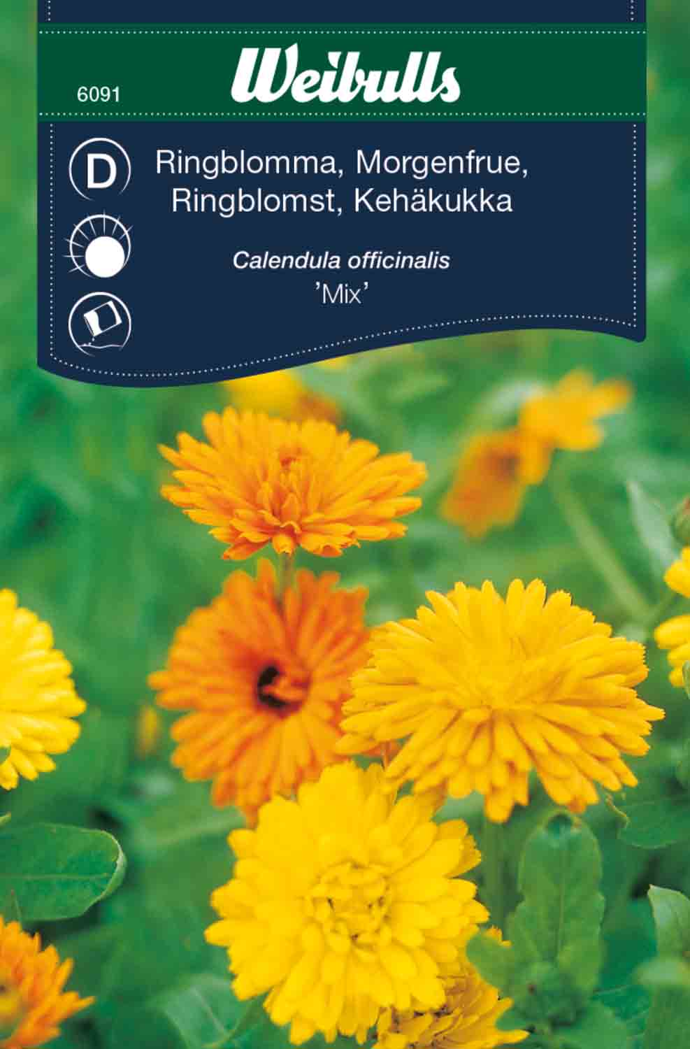Weibulls Ringblomma  'Mix'