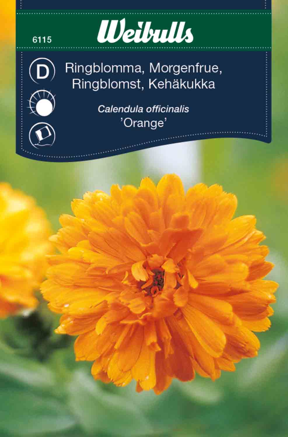 Weibulls Ringblomma   'Mix'