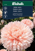 Weibulls Aster, pion- 'Peony Chamois'