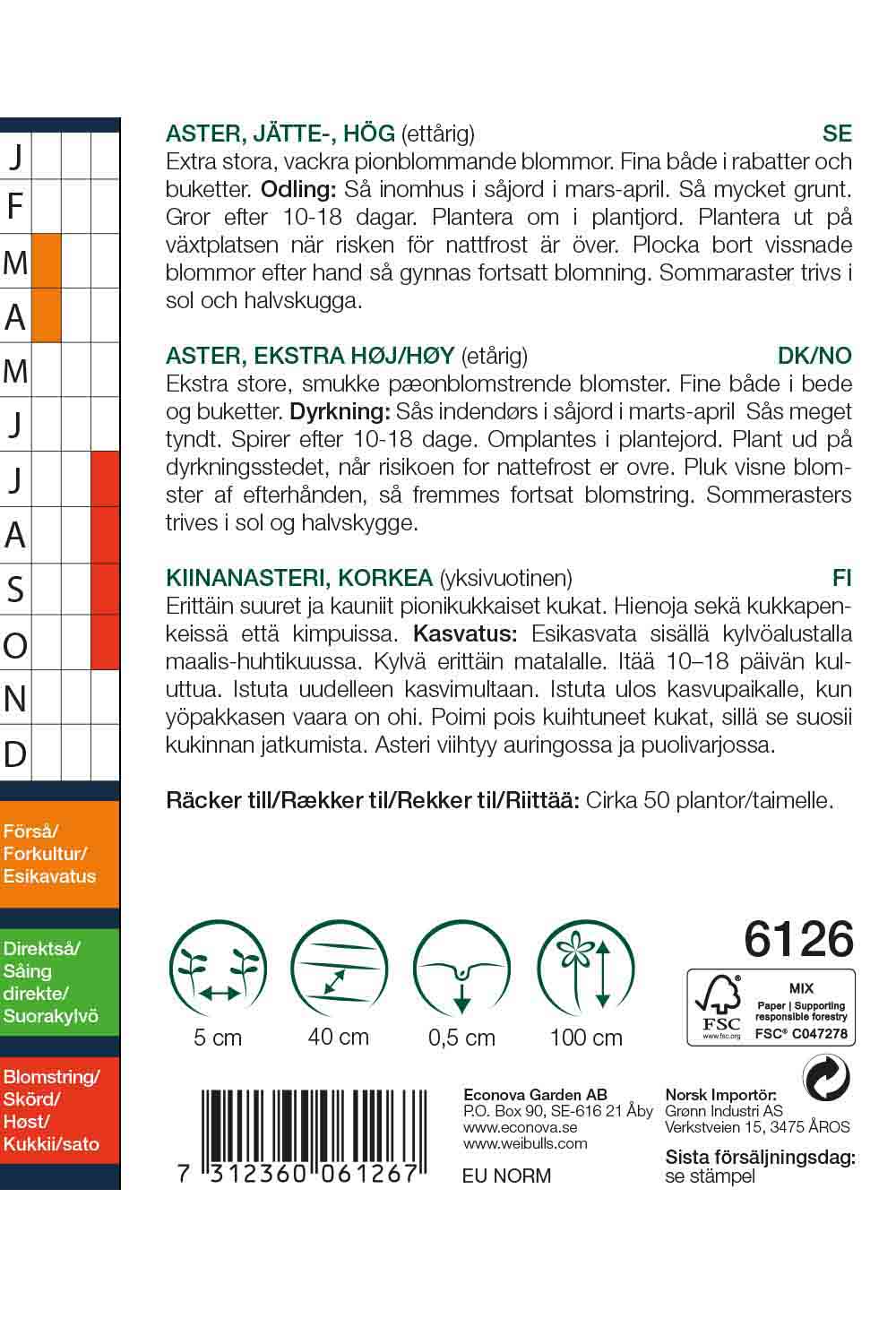 Weibulls Aster, jätte-, hög 'King size white'