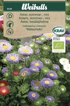 Weibulls Aster, sommar- KRAV 'Matsumoto '