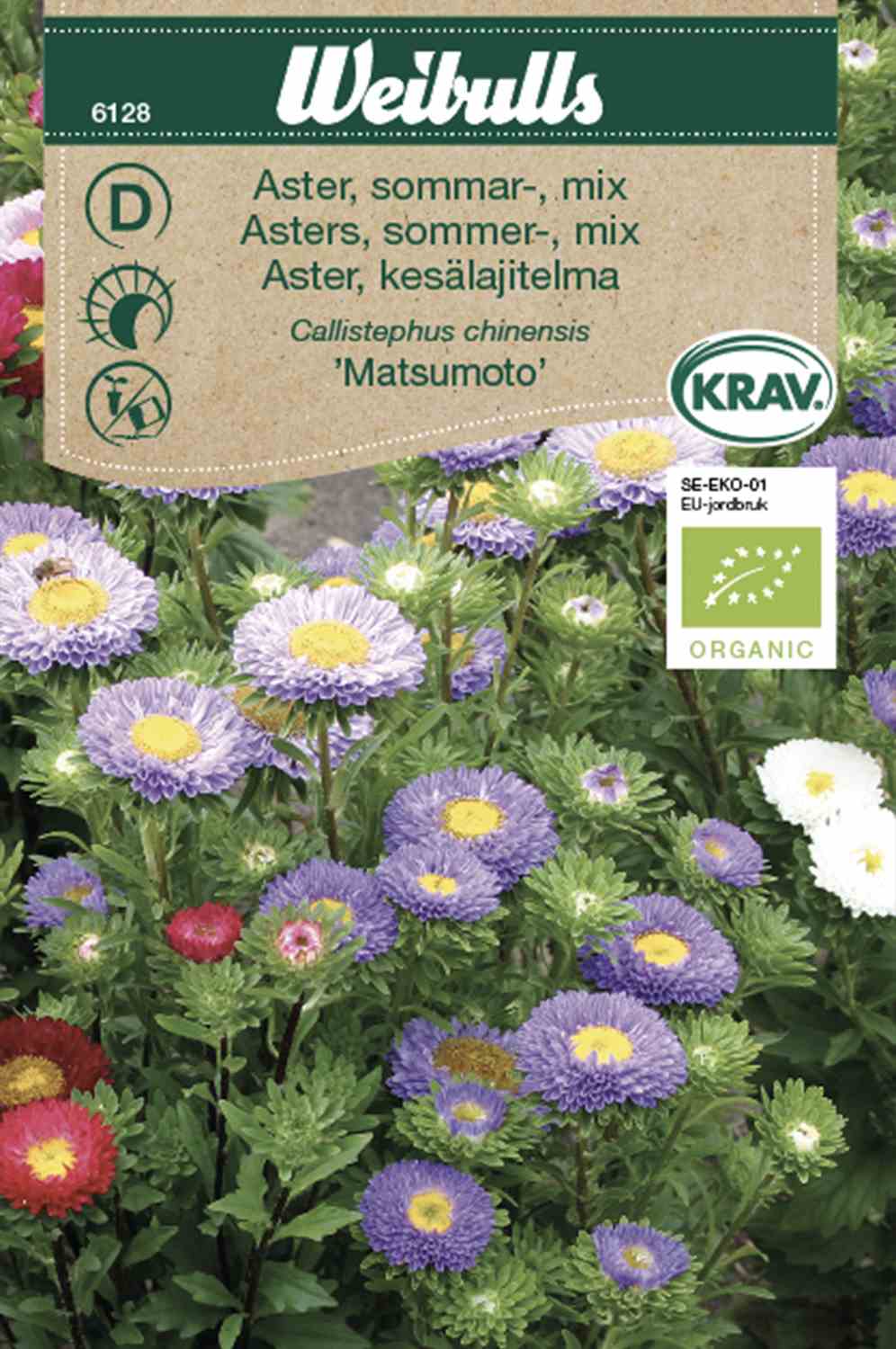 Weibulls Aster, sommar- KRAV 'Matsumoto '
