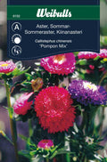 Weibulls Aster, sommar- 'Pompon mix'