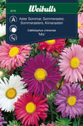 Weibulls Aster, sommar- 'Mix'