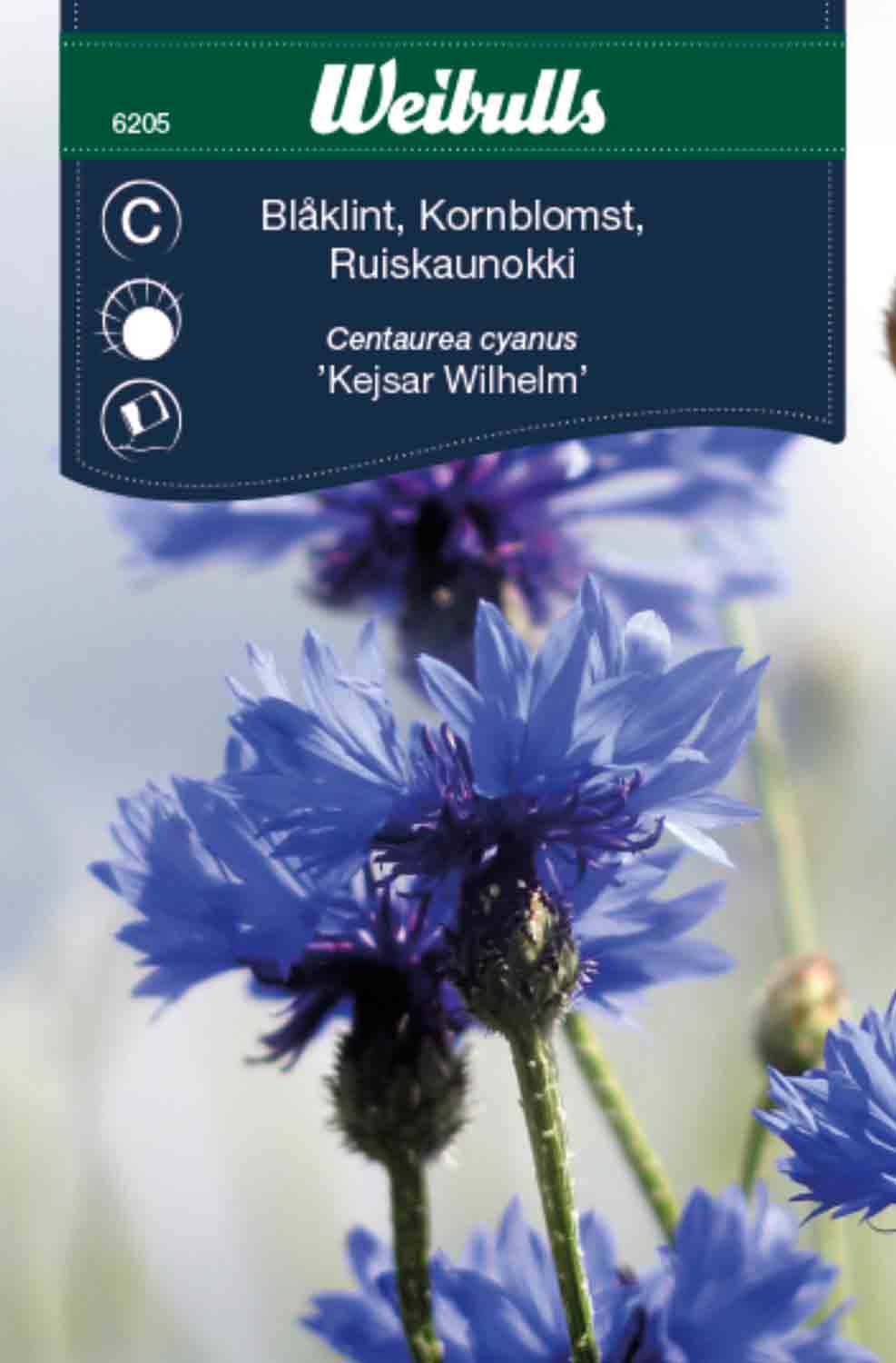 Weibulls Blåklint   'Kejsar Wilhelm'