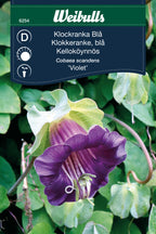Weibulls Klockranka Blå 'Violet'