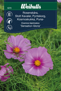 Weibulls Rosenskära 'Sensation Gloria'