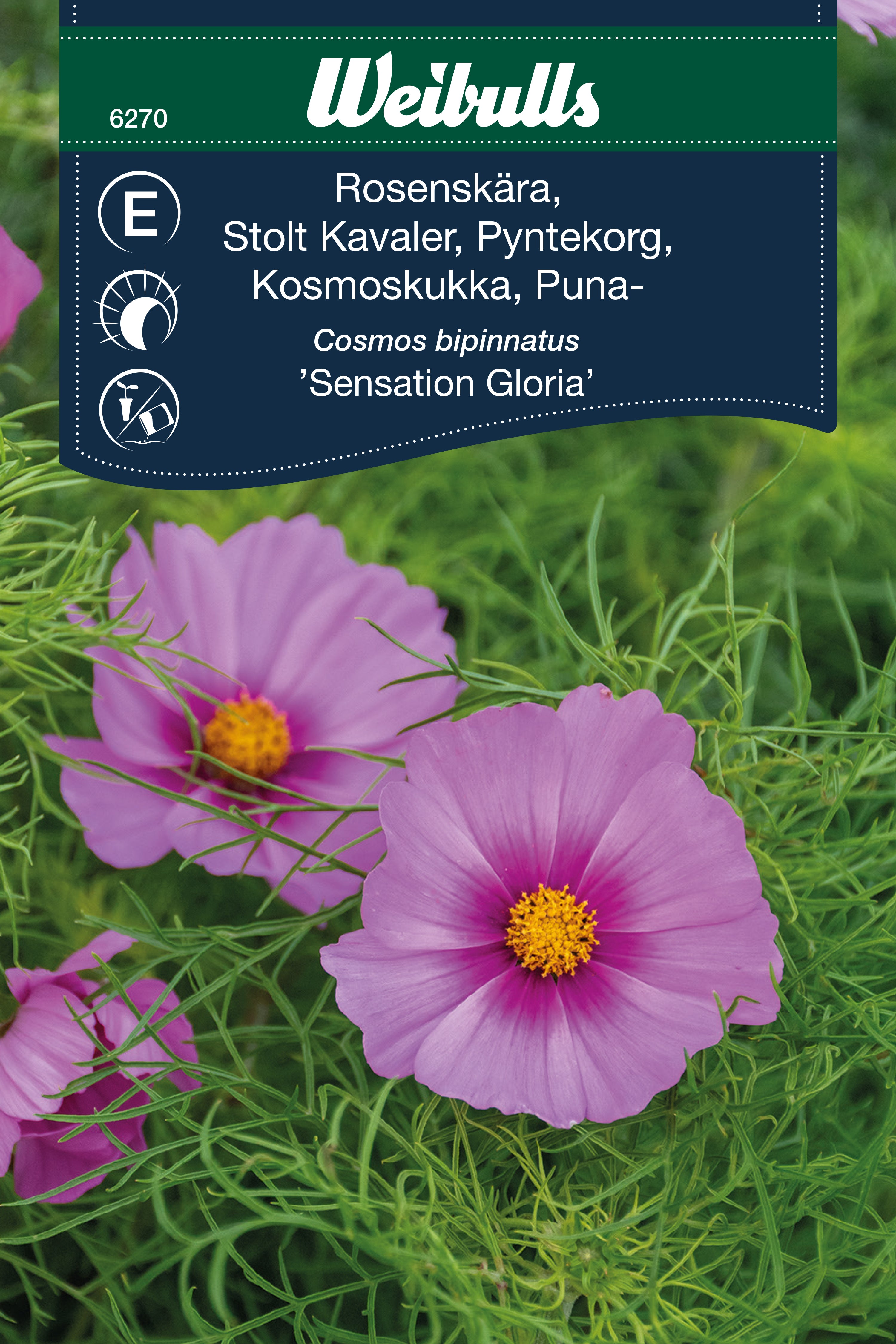 Weibulls Rosenskära 'Sensation Gloria'
