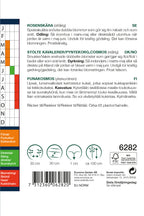 Weibulls Rosenskära 'Double Dutch White'