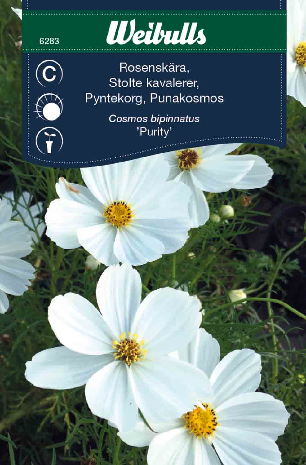 Weibulls Rosenskära   'Purity'