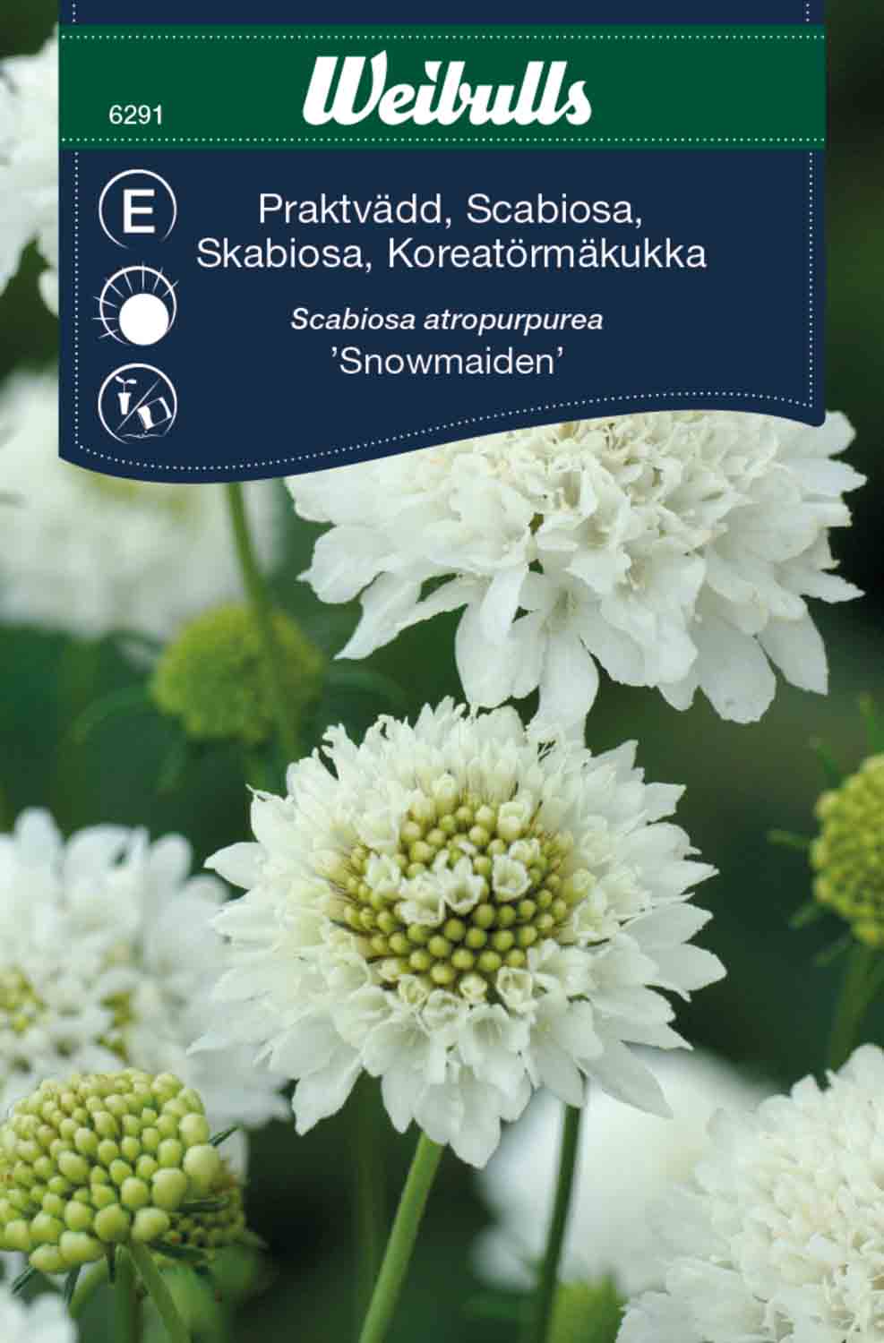 Weibulls Praktvädd 'Snowmaiden'
