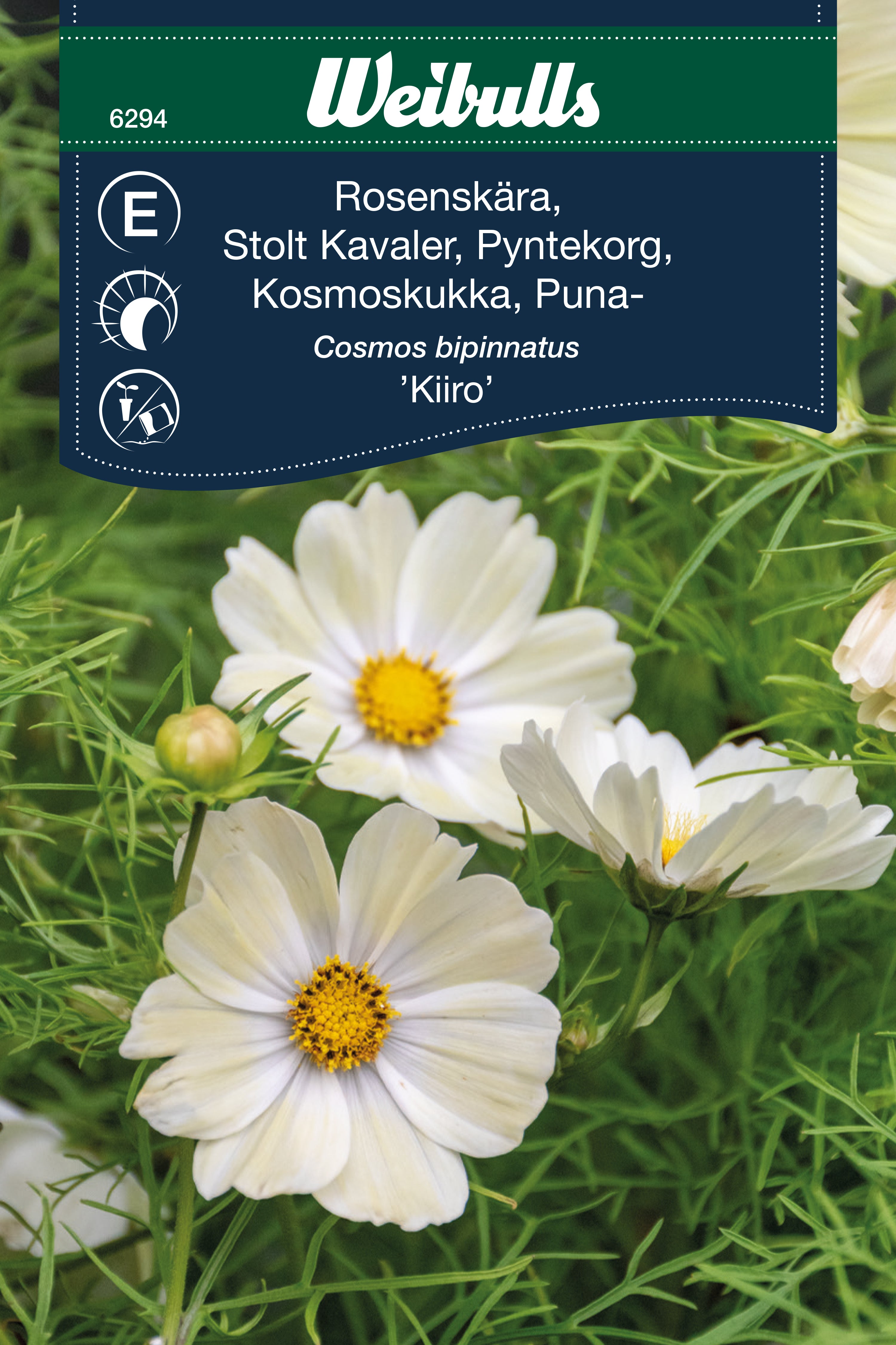 Weibulls Rosenskära 'Kiiro'