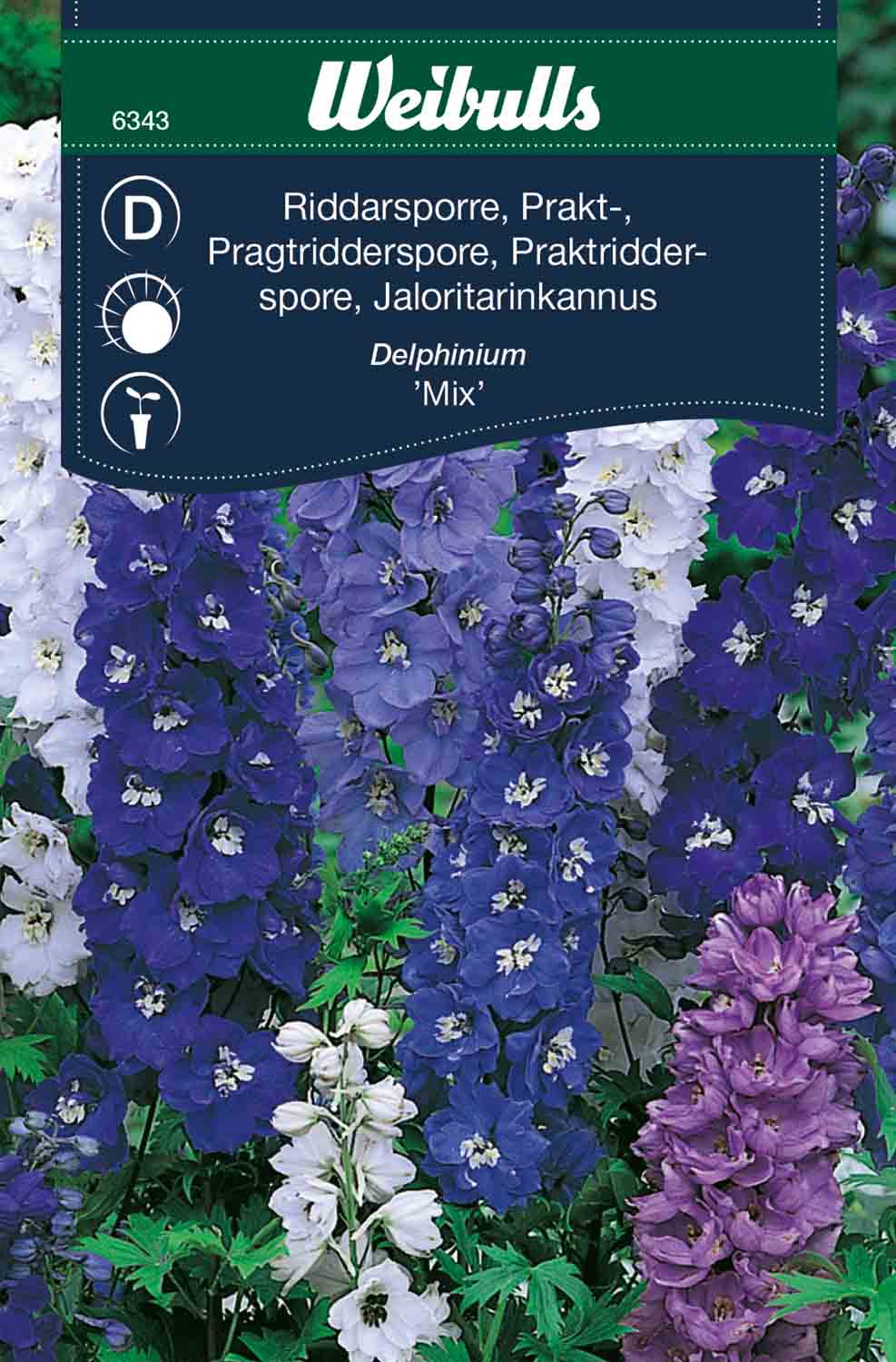 Weibulls Riddarsporre, prakt- 'Mix'
