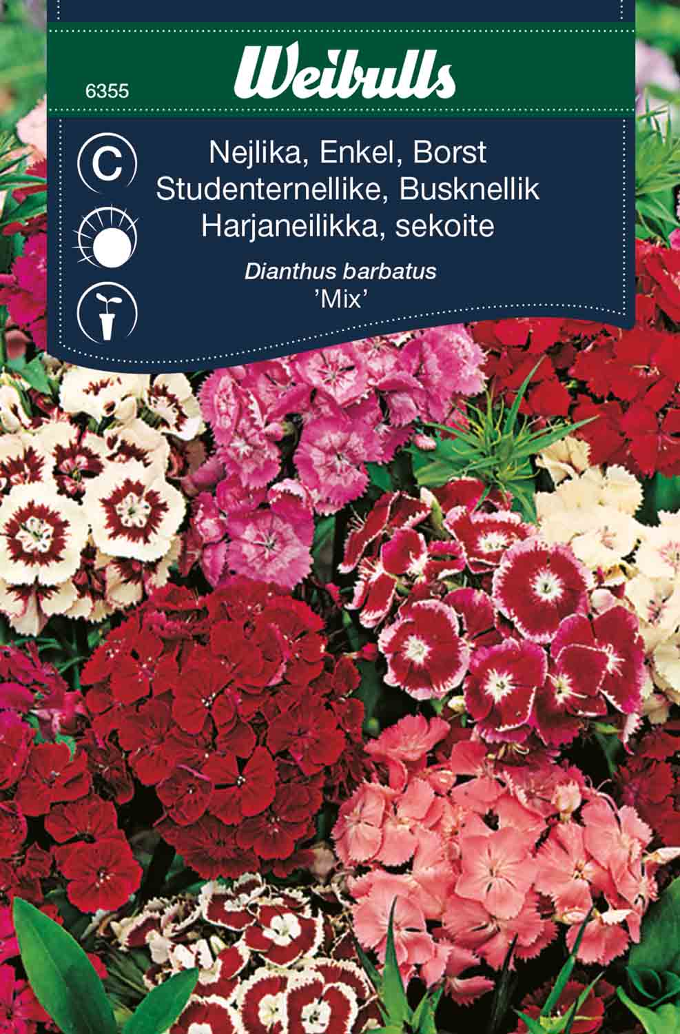 Weibulls Nejlika, borst- Mix