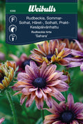 Weibulls Rudbeckia, Sommar- 'Sahara'