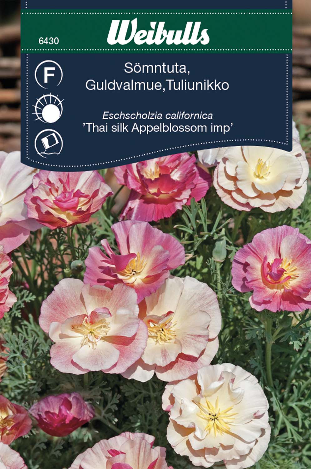 Weibulls Sömntuta  'Appleblossom imp Thai silk'