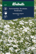 Weibulls Sommarslöja
