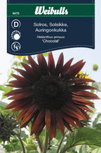 Weibulls Solros, hög 'Chocolat'