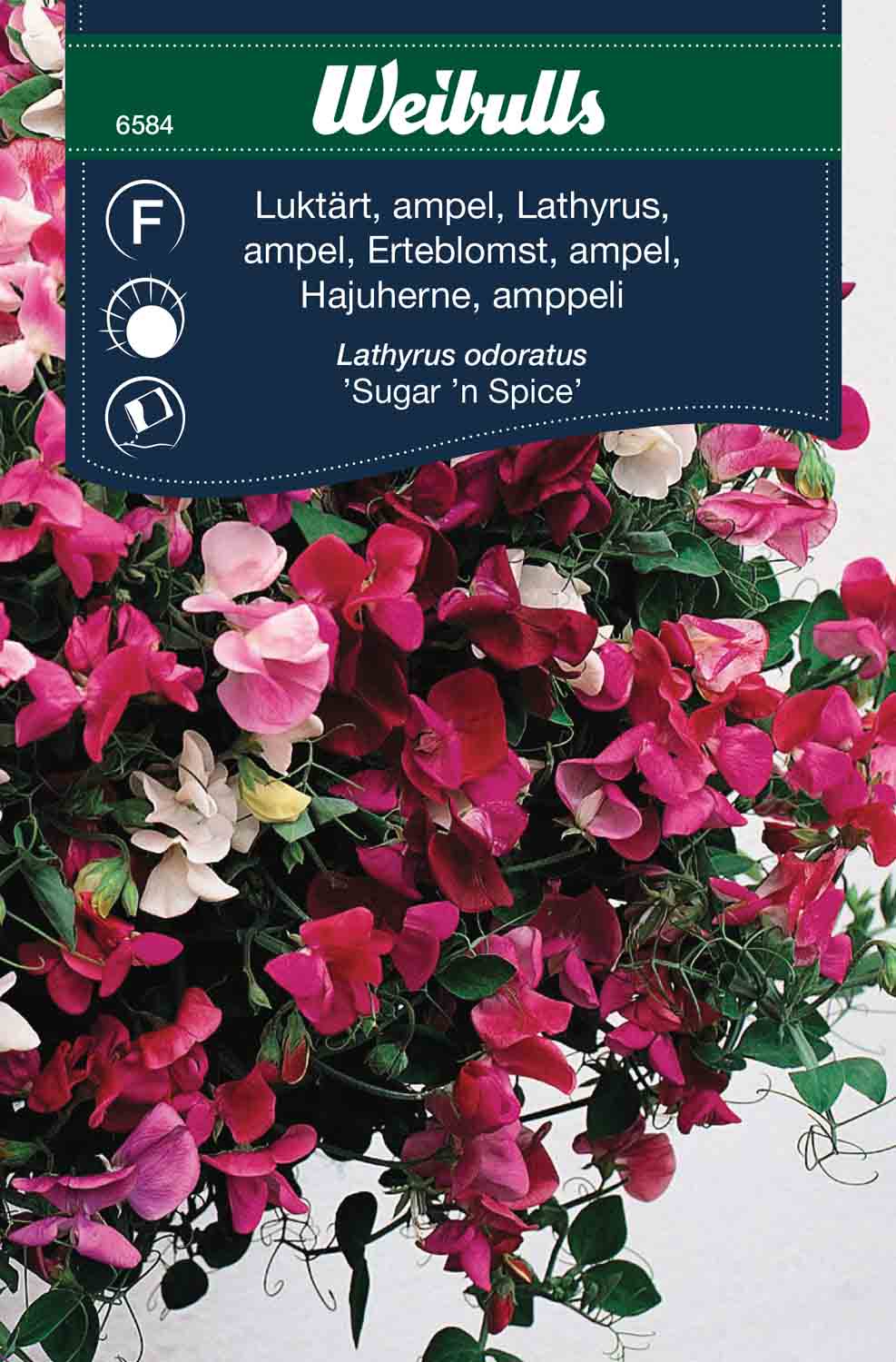 Weibulls Luktärt, ampel 'Sugar'n spice'