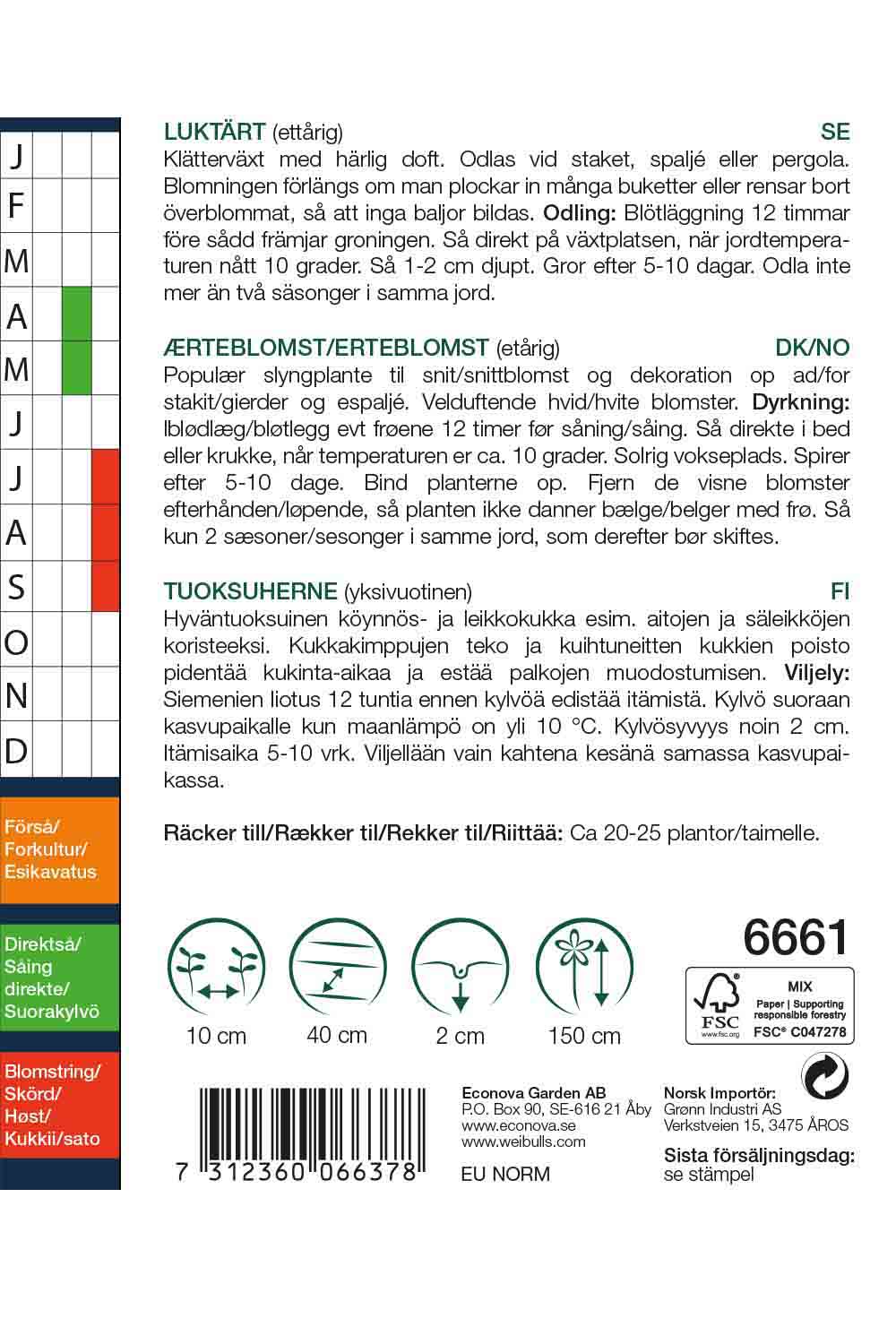 Weibulls Luktärt  'Royal White'