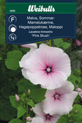 Weibulls Malva, Sommar- 'Pink Blush'