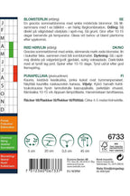 Weibulls Lin, blomster-  'Rubrum'