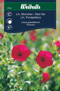 Weibulls Lin, blomster-  'Rubrum'