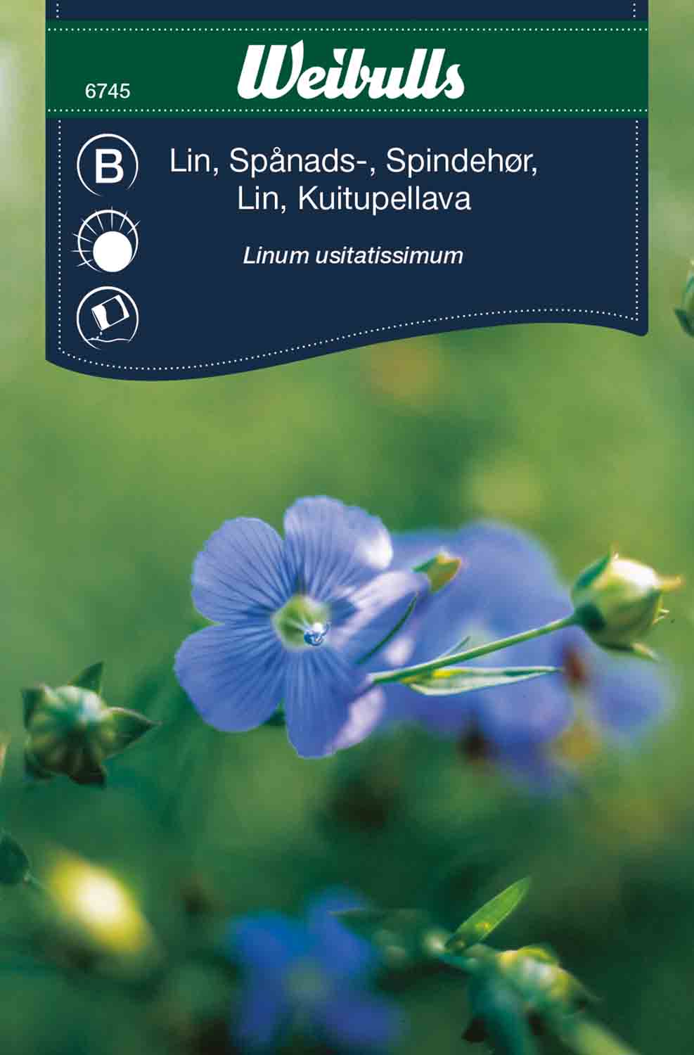 Weibulls Lin, spånads-