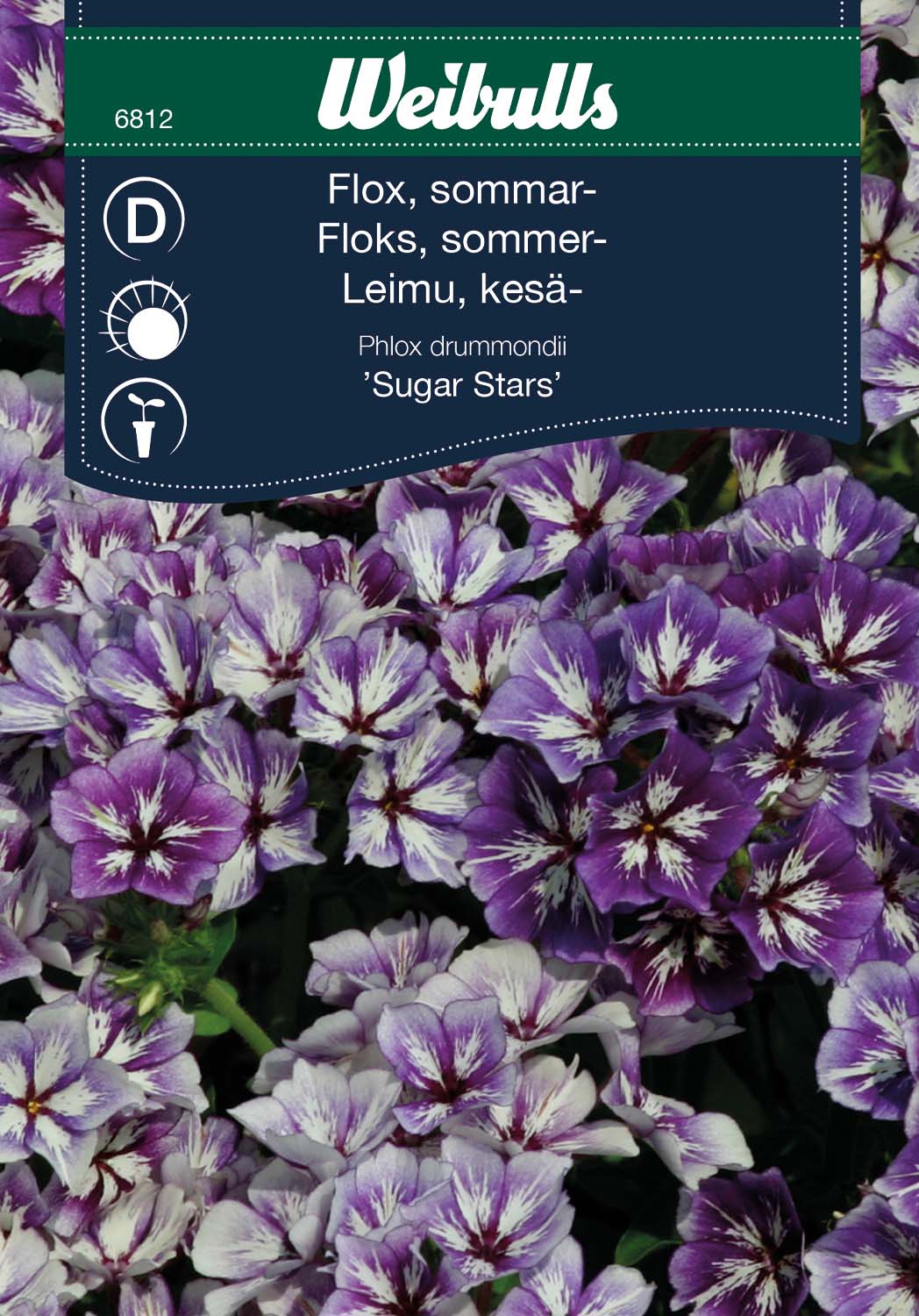Weibulls Flox, sommar- 'Sugar Stars'