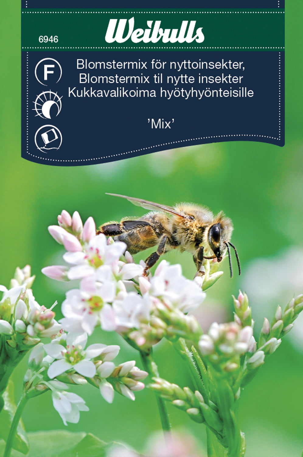 Weibulls Blomstermix för nyttoinsekter 'Mix'