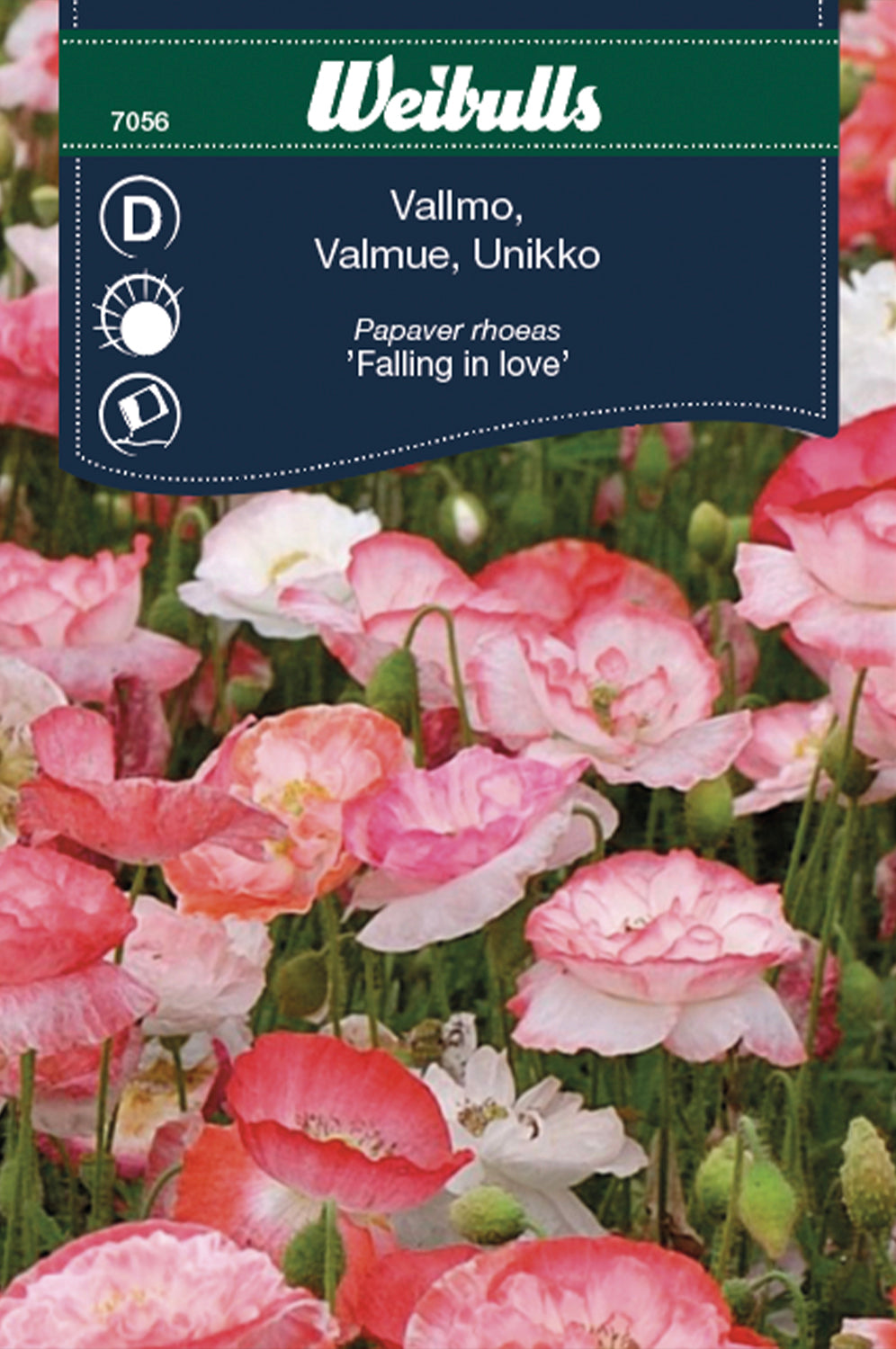 Weibulls Vallmo 'Falling in love'