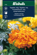 Weibulls Tagetes, hög 'Crackerjack Mix'