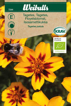 Weibulls Tagetes, låg KRAV
