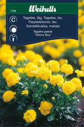 Weibulls Tagetes, låg   'Yellow Boy'