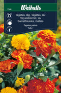 Weibulls Tagetes, låg   'Mix'