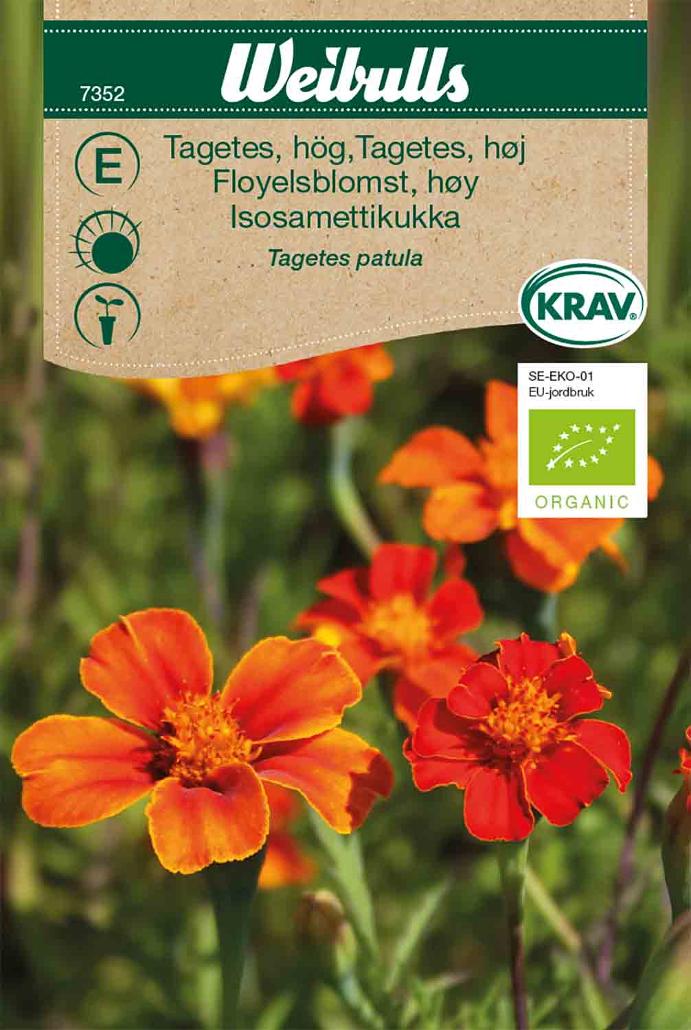Weibulls Tagetes, hög KRAV
