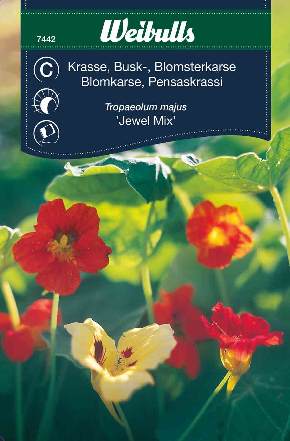 Weibulls Krasse, busk-  'Jewel, Mix'