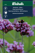 Weibulls Verbena, jätte-