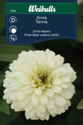 Weibulls Zinnia  'Polar Bear'