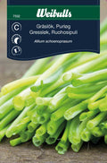 Weibulls Gräslök 'Medium Leaf'