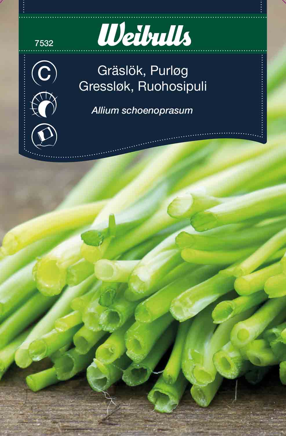 Weibulls Gräslök 'Medium Leaf'