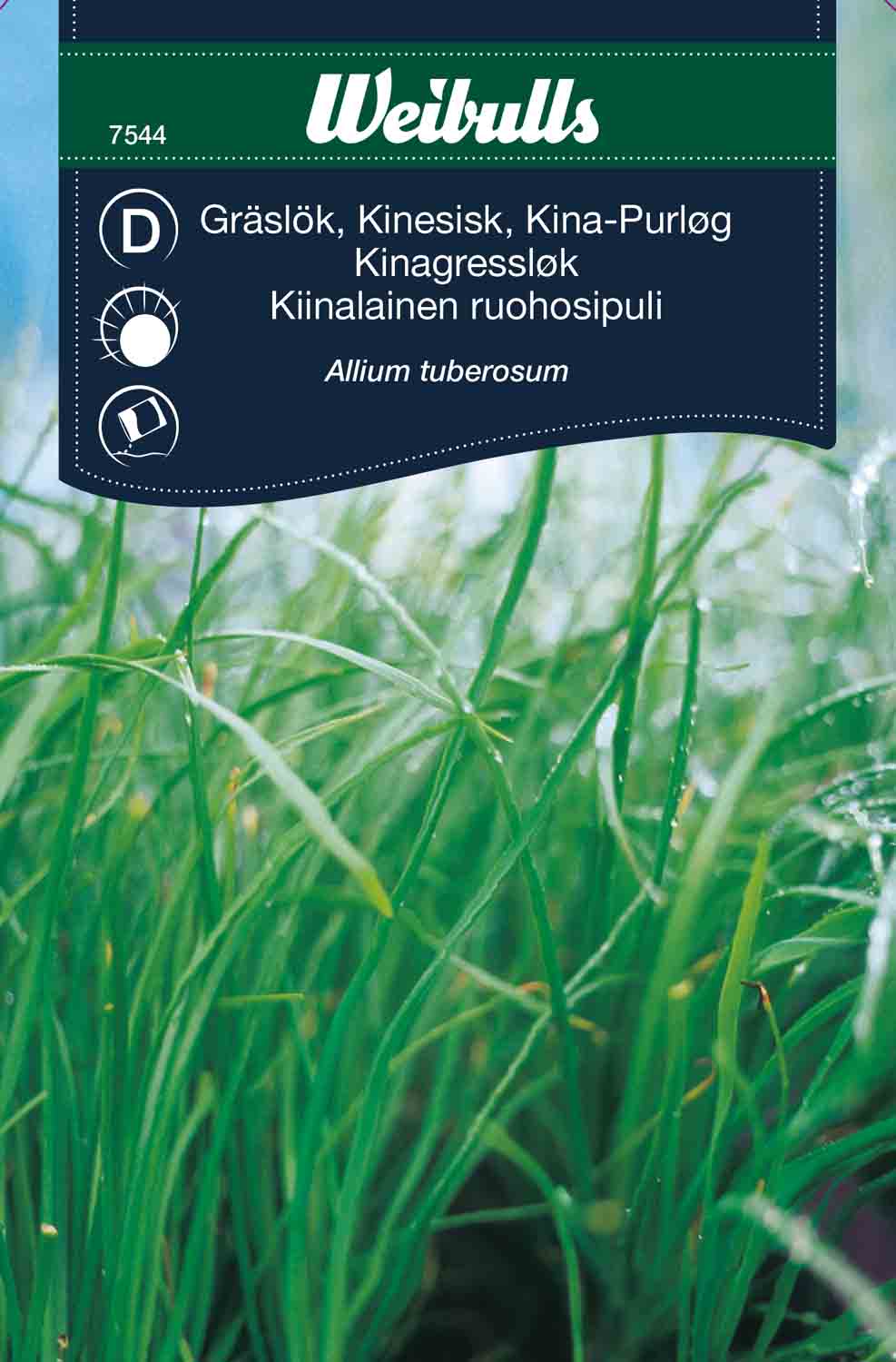 Weibulls Gräslök, kinesisk