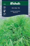 Weibulls Dill   'Mammut'