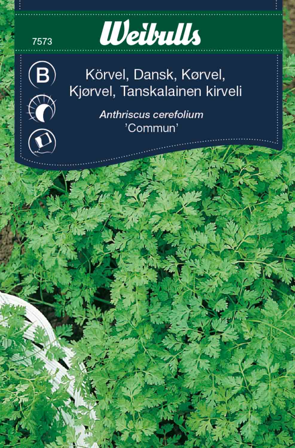 Weibulls Körvel, dansk 'Commun'